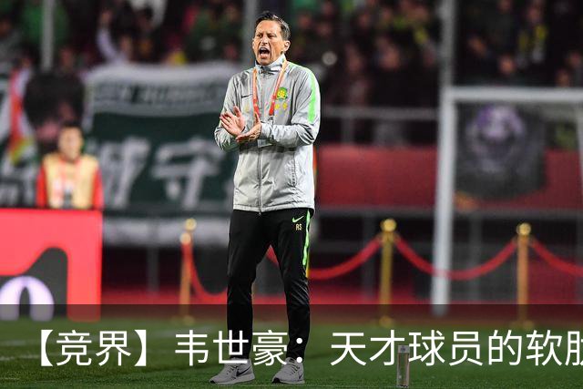 【竞界】韦世豪：天才球员的软肋 洪七公效应的外溢